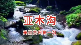 武动乾坤